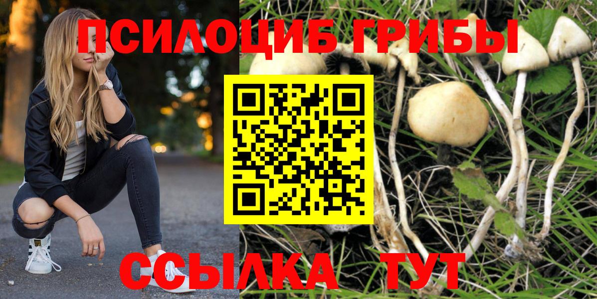 Новокузнецк  Псилоцибиновые грибы Magic Shrooms  Вход с VPN  Галлюциногенные грибы мицелий 