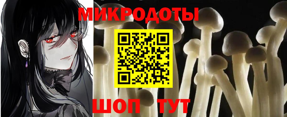 Галлюциногенные грибы мухоморы Новокузнецк